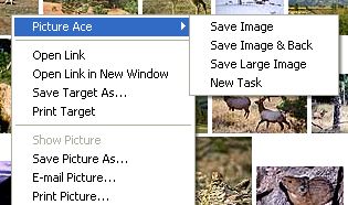 Picture Ace IE context menu commands